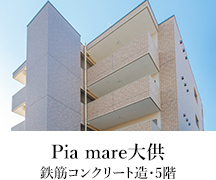 Pia mare大供